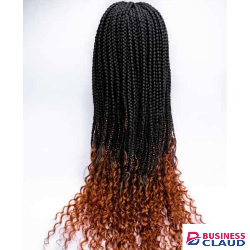 Wigs by Luminous Collections Long Braided Wig