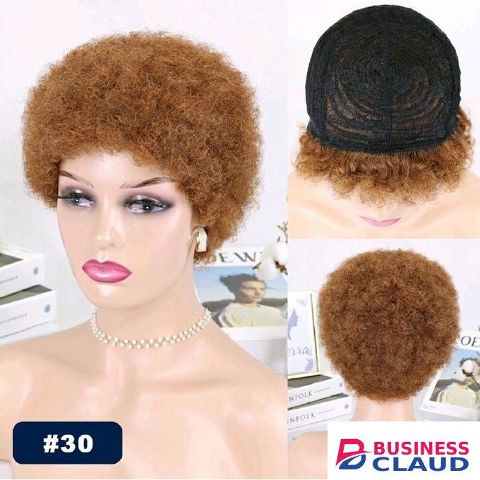 Short Afro Wig