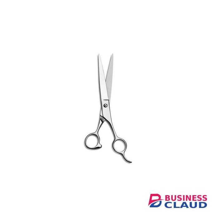Zinger PROFESSIONAL HAIRDRESSING HAIR CUTTING SCISSORS