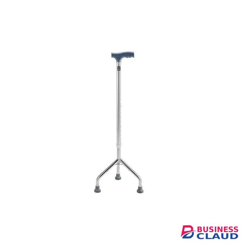 walking stick