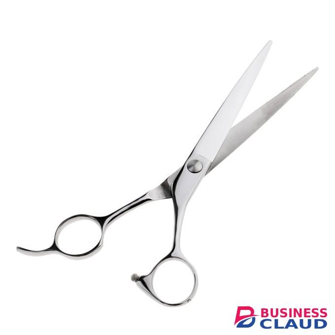 Professional Hair Scissors.