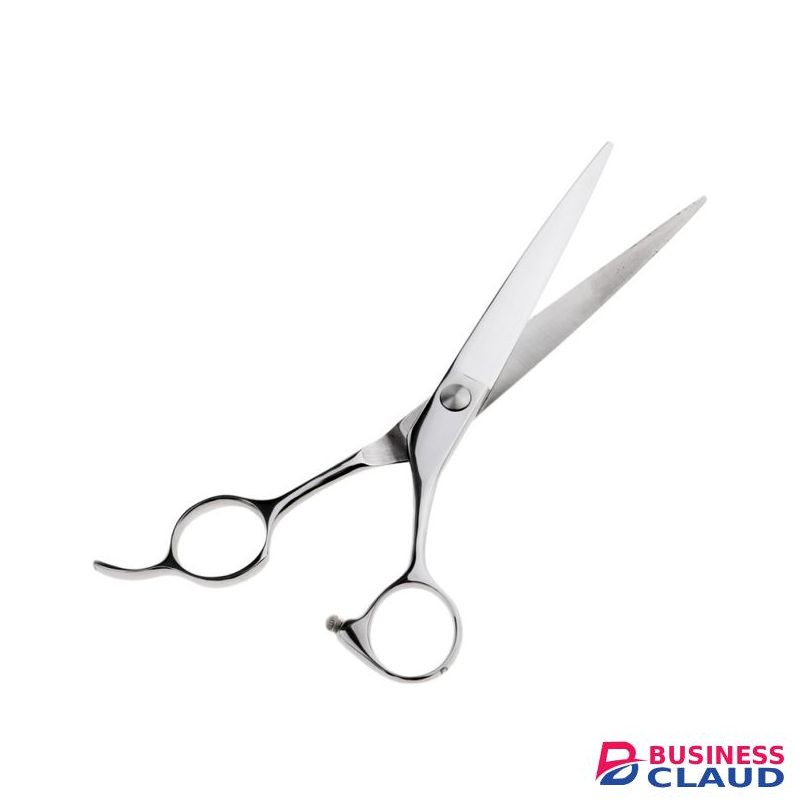 Professional Hair Scissors.