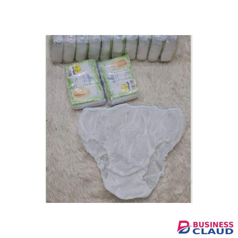 Disposable Absorbent Maternity Panties - A set of 5 pieces.