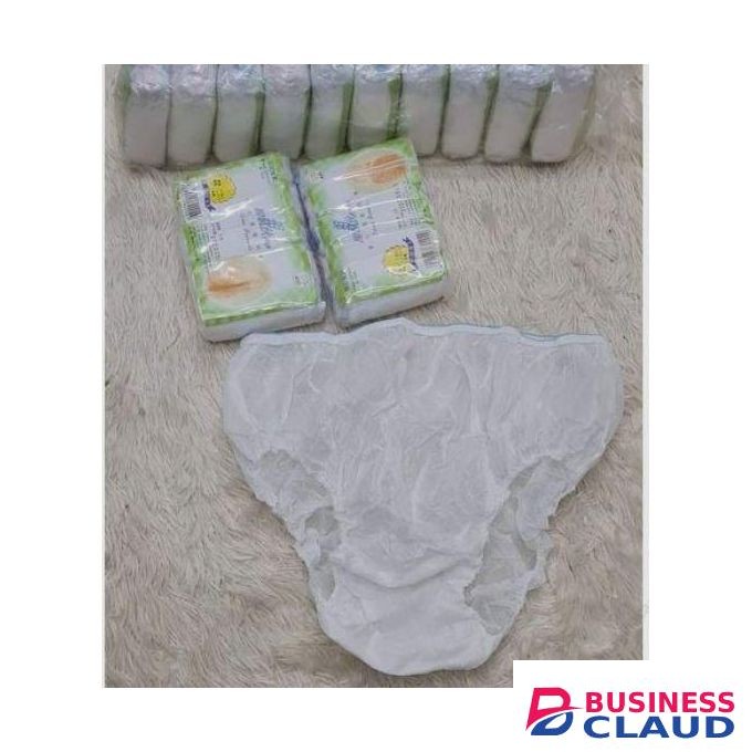 Disposable Absorbent Maternity Panties - A set of 5 pieces.