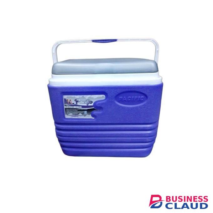 10L Portable Ice Chest for Camping, Picnic & Travel