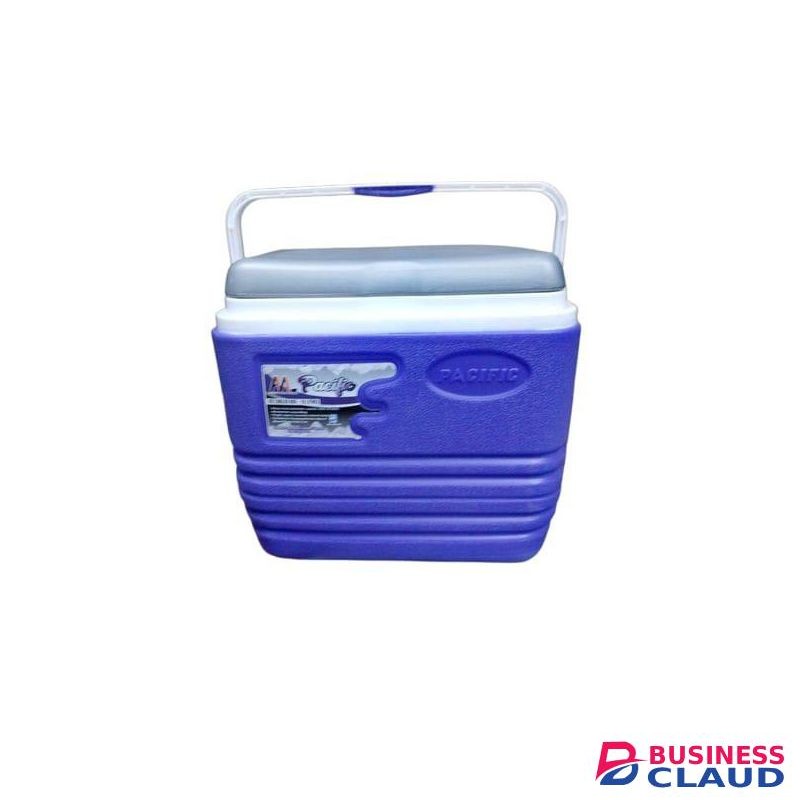 10 Litres Portable Ice Chest for Camping, Picnic & Travel