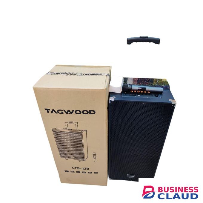 TAGWOOD 12" 12B Rechargeable Portable Speaker Double built-in Speakers