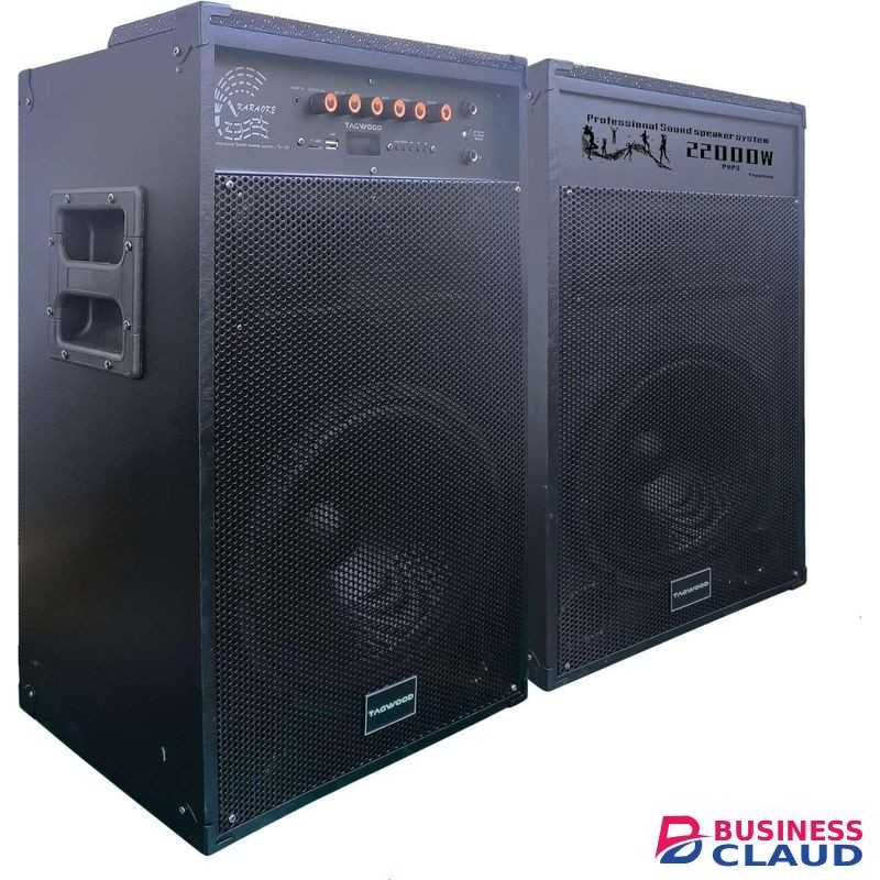 TAGWOOD 2 Powerful Trolley Speakers with 2 Microphones Bluetooth Enabled