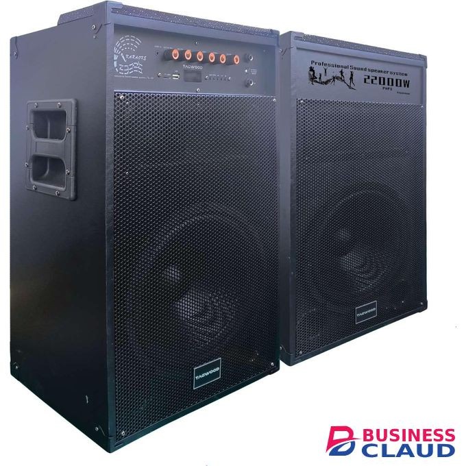 TAGWOOD LTS-12D 22000W Double Speaker Bluetooth Trolley Speakers with 2 Microphones