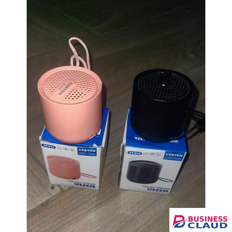 Caston ST 919 Portable Bluetooth Speaker, Powerful Stereo Sound, Stylish Compact Design