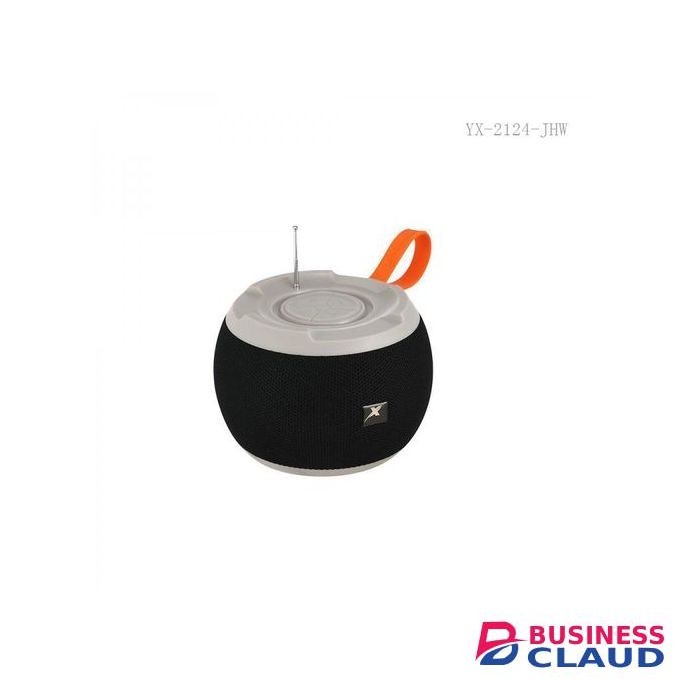 C 15 Portable Loud Mini Music Player With Speaker.