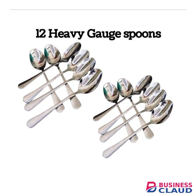 12 Heavy Gauge Stainless Steel Spoons