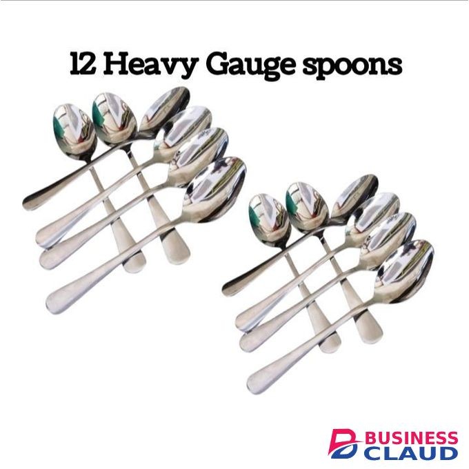 12 Heavy Gauge Stainless Steel Spoons