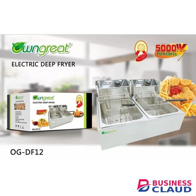 WNGREAT 12l Deep Fryer With Ideal For Commercial And Home Purposes