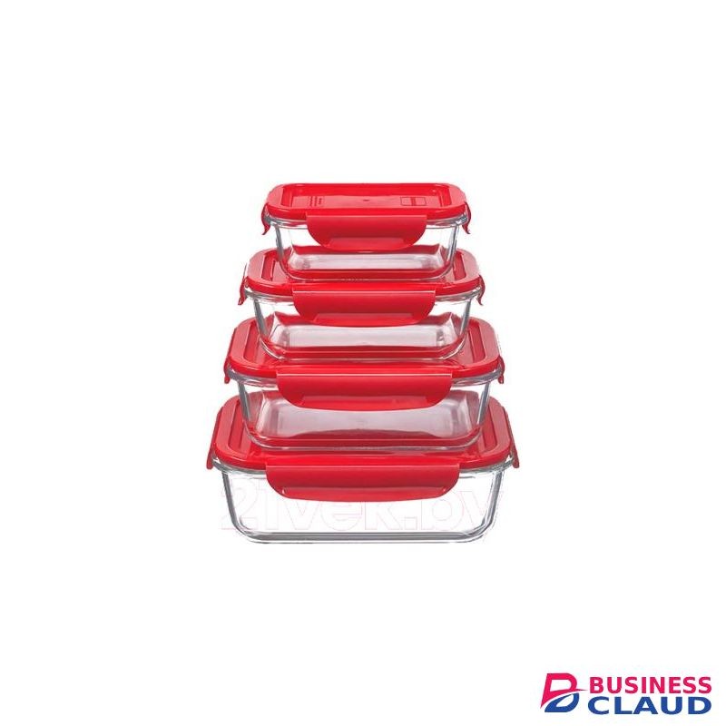 Signature 4PCS Borosilicate Glass Food Containers/ Food Storage Set