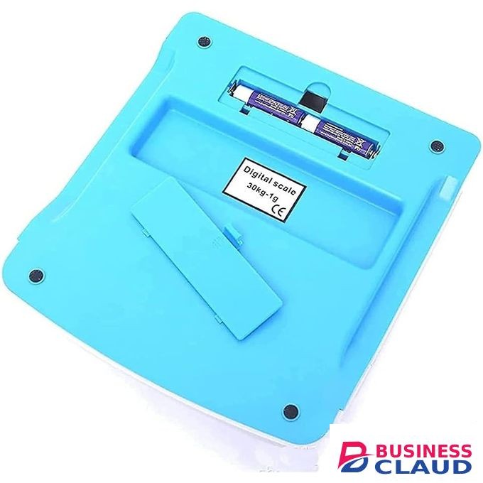 30KG Kitchen Price Computing Scale Food Deli Scale for Meat Fruit Market