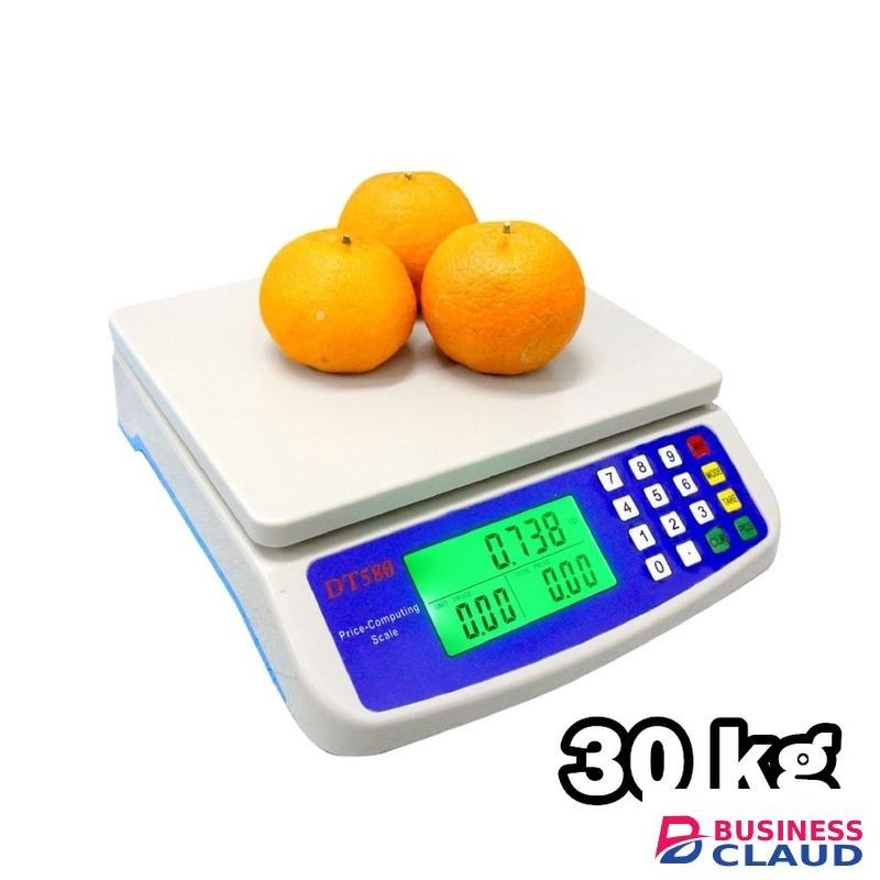 30kg/1g Electronic Computing Scale