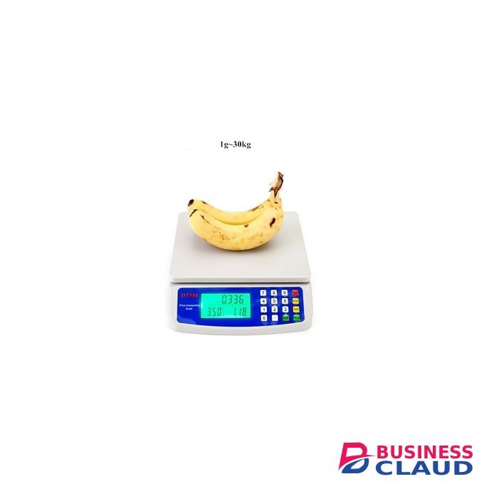 30Kg X 1g 66 Lb Electronic Computing Scale
