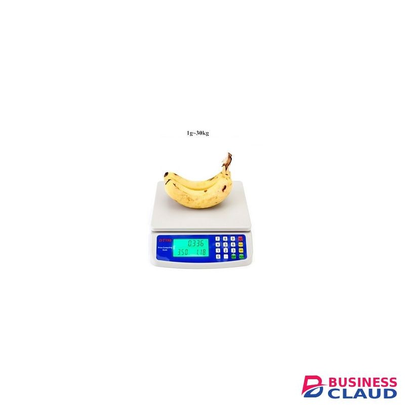 30Kg X 1g 66 Lb Electronic Computing Scale