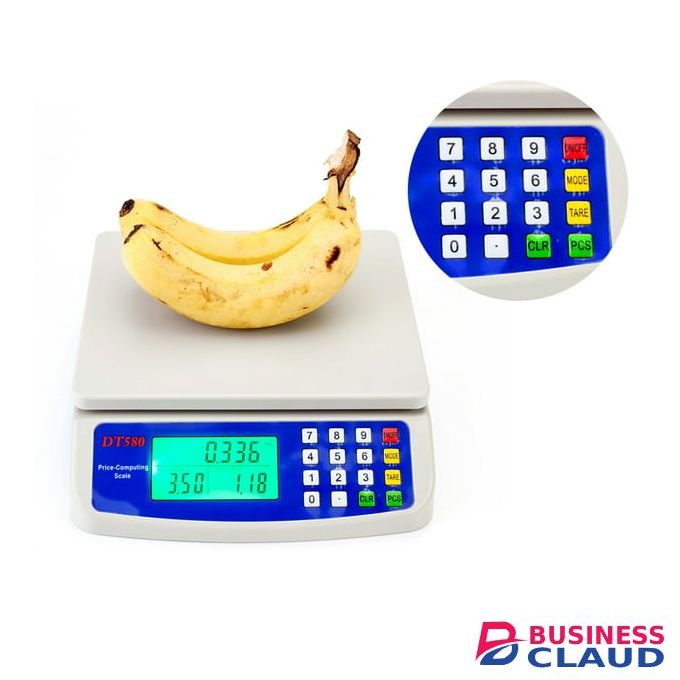 Multi-function Precision Kitchen Scale Digital Home Balance Scale