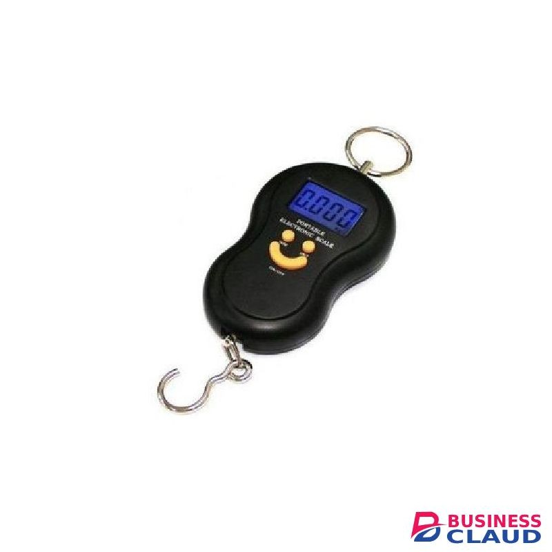 Electronic Scale Portable 50Kg Weighing Scale- Hook
