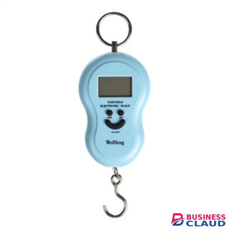 Portable 50kg Digital Electronic Weighing Scale