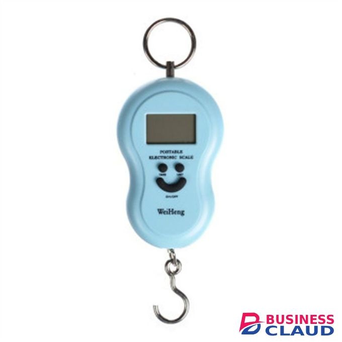 Portable 50kg Digital Electronic Weighing Scale