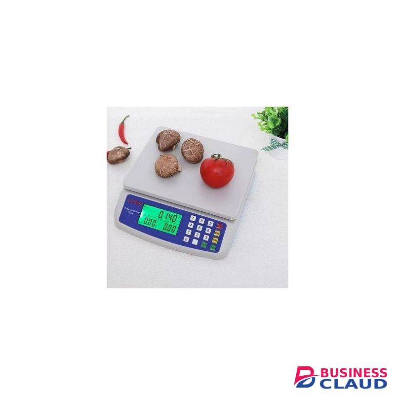 dt 580 digital computing scale