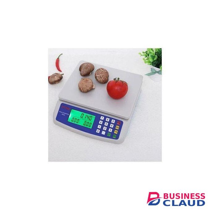 dt 580 digital computing scale