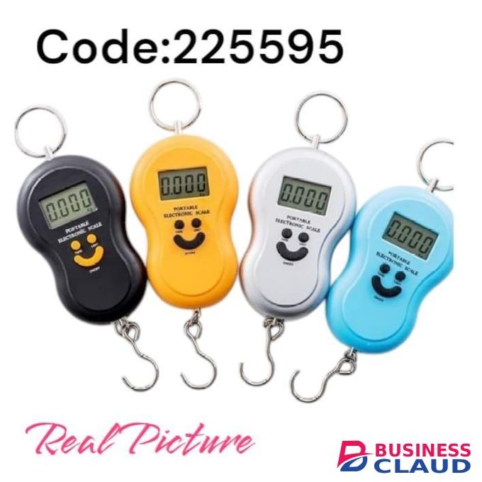 Portable Electronic Digital Scale
