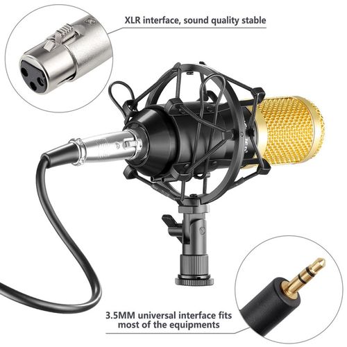 Sound Microphone