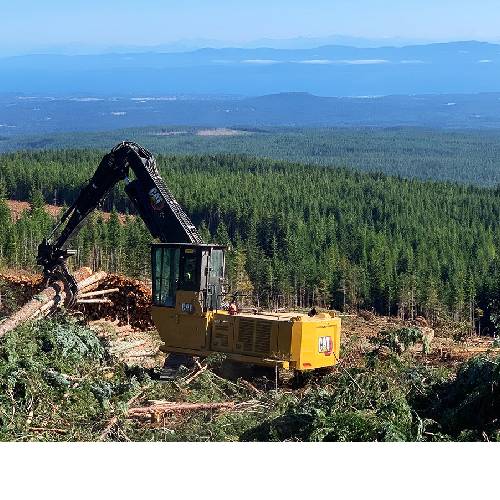 Cat | Caterpillar FM568 GF/FM568 LL Forest Machine