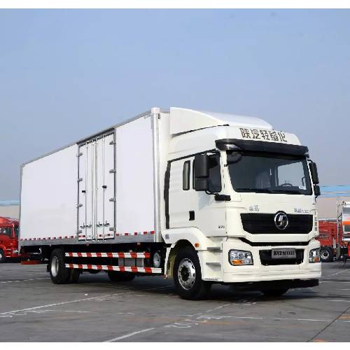 SHACMAN H3000 4X2 Lorry Truck – Efficient & Versatile