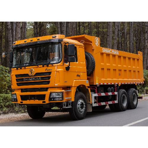 SHACMAN F3000 6X4 Dump Truck – Heavy-Duty & Reliable Performance