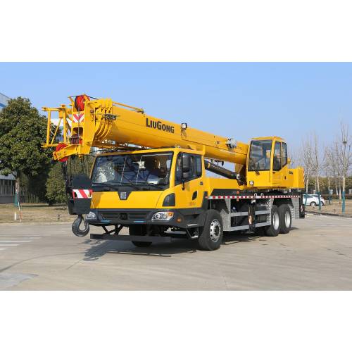 LIUGONG LTC250V5 Crane