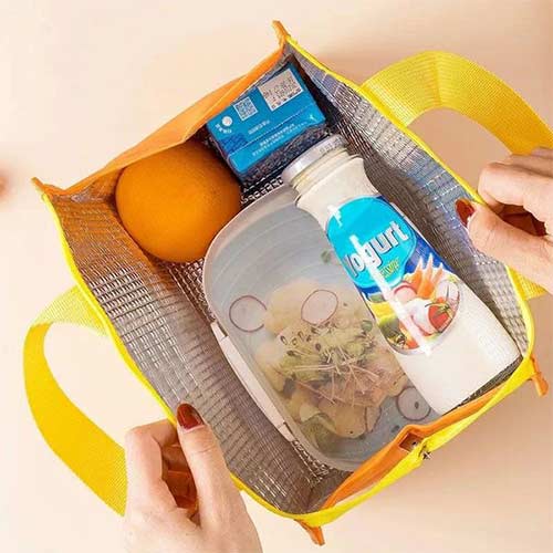 insulated lunch bag