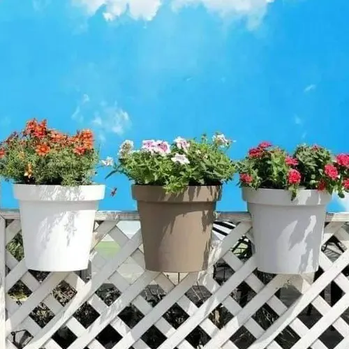 Over The Balcony Flower