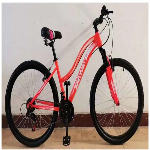 Reset Adult bicycle size 24 mountain bicycle
