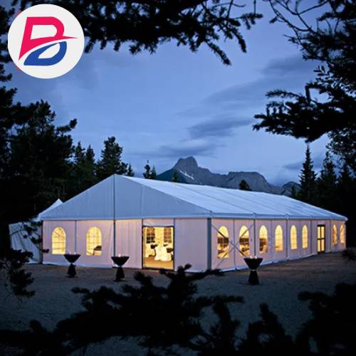 Party tent with optional lighting and decor