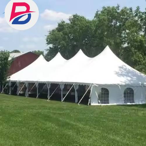 Budget-Friendly Party Tents for Sale For Sale
